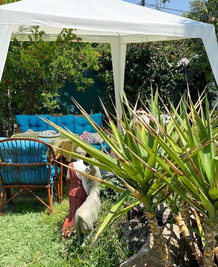 Casa Lia-Beach Front Villa Nea Kallikrateia المظهر الخارجي الصورة